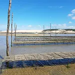 Lumineux Avec Terrasse Arcachon, Dautomne - Fr-1-474-293 Διαμέρισμα *