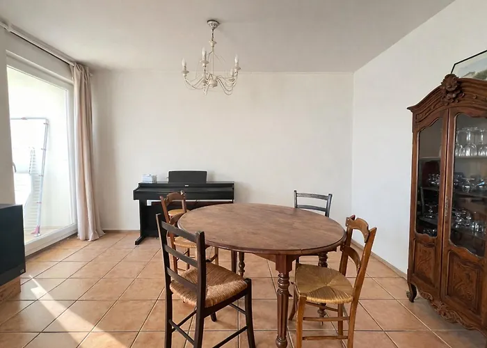 Lumineux Avec Terrasse Arcachon, Dautomne - Fr-1-474-293 *