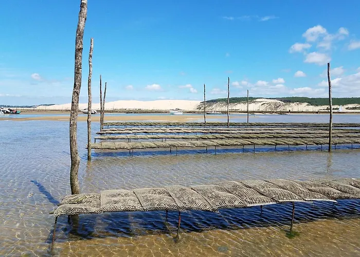 Lumineux Avec Terrasse Arcachon, Dautomne - Fr-1-474-293 Appartement *